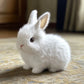 PetsBoro™ BunnyPal
