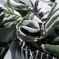Men's Shirt Collar Coconut Tree Shirts Green XXL